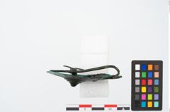 Foto von Bronzetutulusscheibenfibel (NHMW-PRAE-026529)
